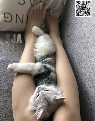 欧美日韩午夜高清_日本电影在线